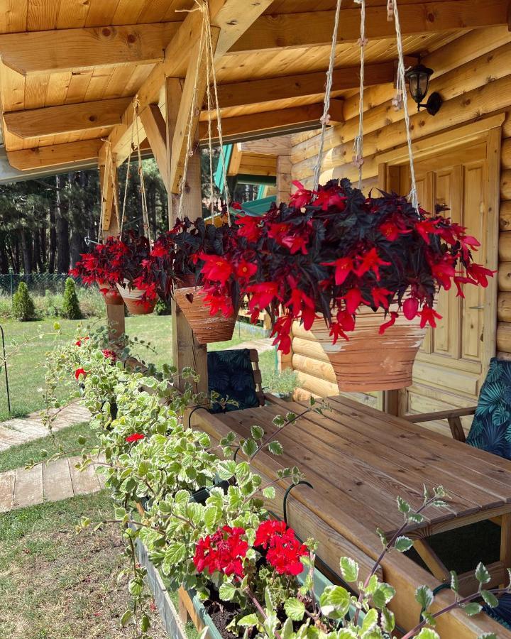 Brvnare Spasić Vinci Exterior foto